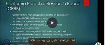 وضعیت صنعت پسته