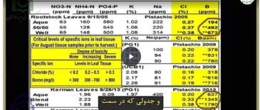 ارزیابی‌های لازم پیش از کشت پسته