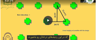 ملاحظات و برنامه‌ریزی‌ها پیش از طراحی باغ پسته
