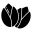 باغات نمونه