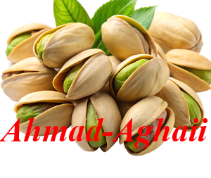 احمد اقایی