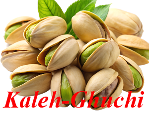 کله قوچی