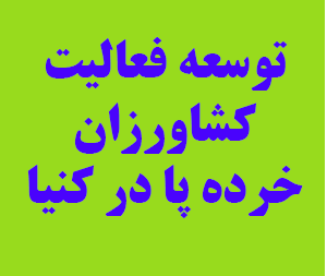 اینفوگرافی و بروشور