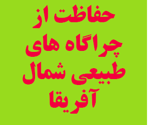 اینفوگرافی و بروشور