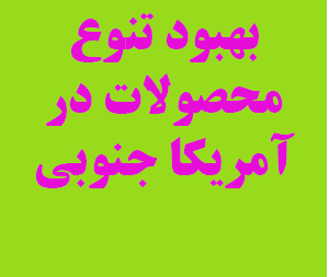 تجربیات موفق از کشورهای در حال توسعه