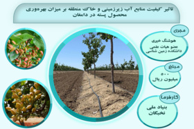 تاثیر کیفیت منابع آب زیرزمینی و خاک منطقه بر میزان بهره‌وری محصول پسته در دامغان
