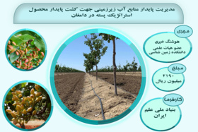 مدیریت پایدار منابع آب زیرزمینی جهت کشت پایدار محصول استراتژیک پسته در دامغان