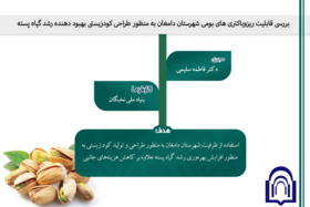 بررسی قابلیت ریزوباکتری های بومی شهرستان دامغان به منظور طراحی کود زیستی بهبود دهنده رشد گیاه پسته