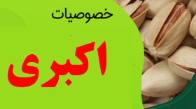 پسته اکبری