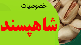پستۀ شاهپسند