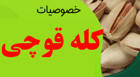 پسته کله قوچی