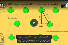 ملاحظات و برنامه‌ریزی‌ها پیش از طراحی باغ پسته