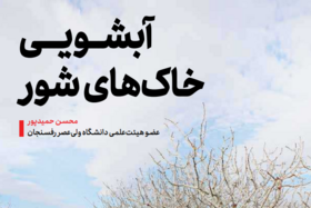 آبشویی خاک های شور