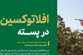 افلاتوکسین در پسته