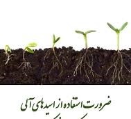 بهبود عملکرد پسته در خاک شور با کاربرد اسیدهای آلی