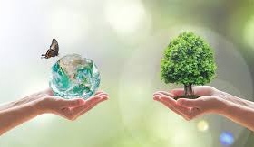 نقش تنوع زیستی در کنترل آفات و بیماری‌های گیاهی