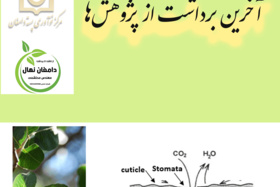 نکات کاربردی در فیزیولوژی و مدیریت باغات پسته