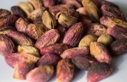 بازید از باغات پسته ترکیه