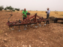 باغات اسپانیا