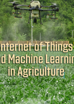 agriculture in Internet