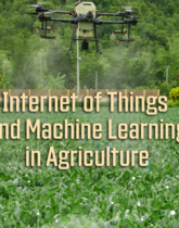 agriculture in Internet