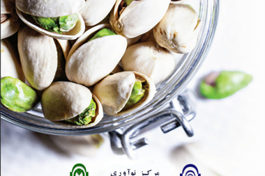 معیار های ایالات متحده برای دسته بندی پسته ها