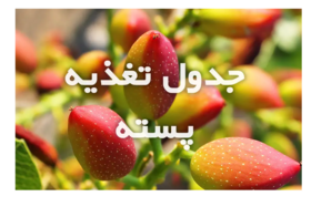 تغذیه تابستانه باغات پسته