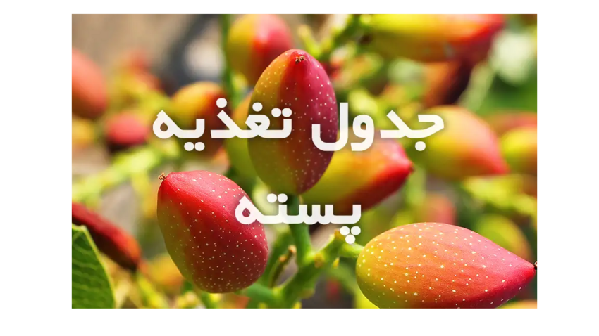 تغذیه تابستانه باغات پسته