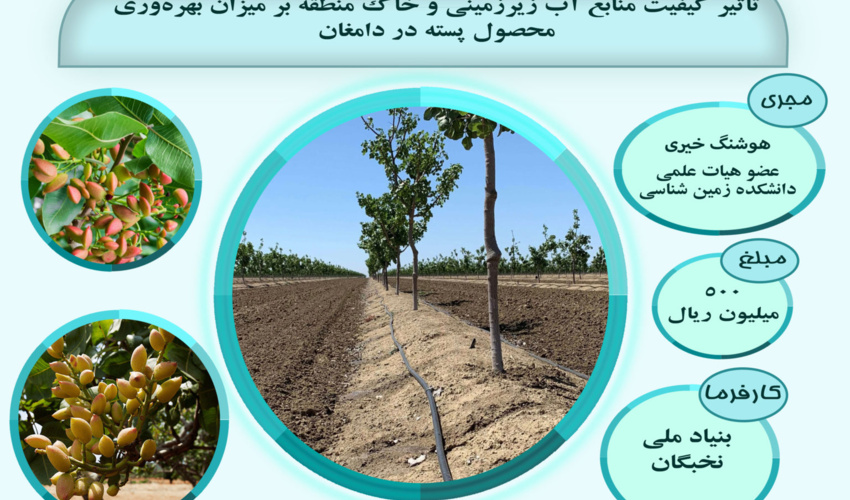 تاثیر کیفیت منابع آب زیرزمینی و خاک منطقه بر میزان بهره‌وری محصول پسته در دامغان