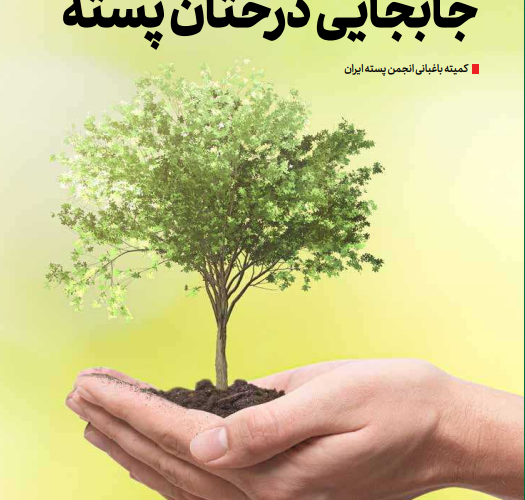 جابجایی درختان پسته