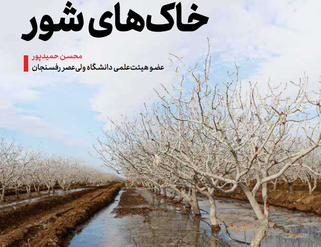 آبشویی خاک های شور