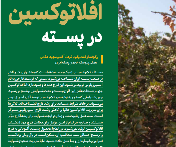 افلاتوکسین در پسته