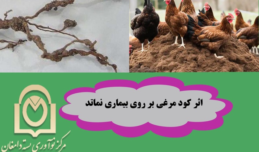 اثر کود مرغی بر حرکت لارو سن دو نماتد ریشه گرهی